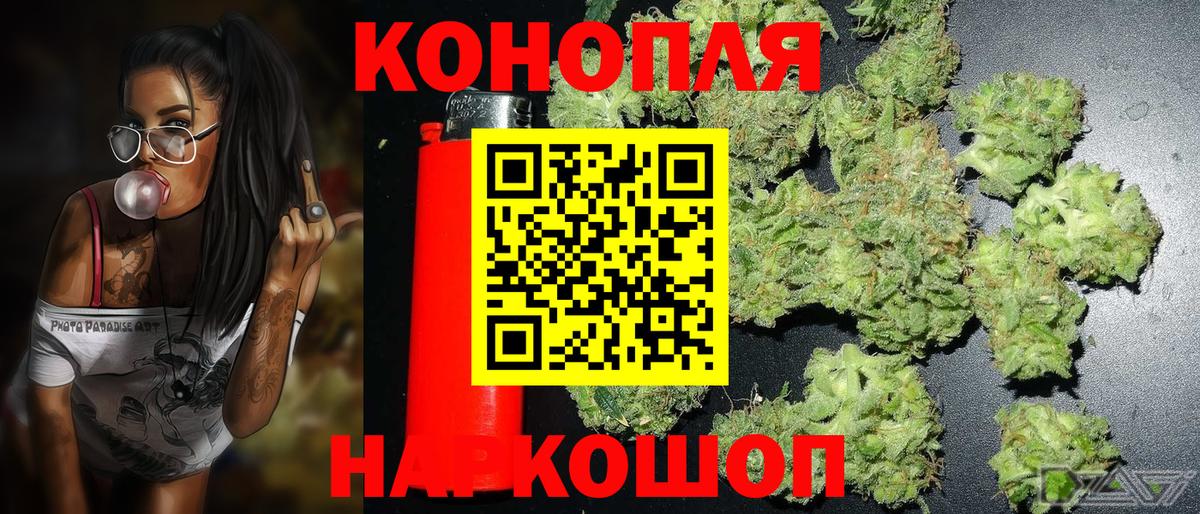 Бошки Шишки план Батайск